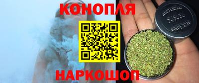 соль ск Славгород