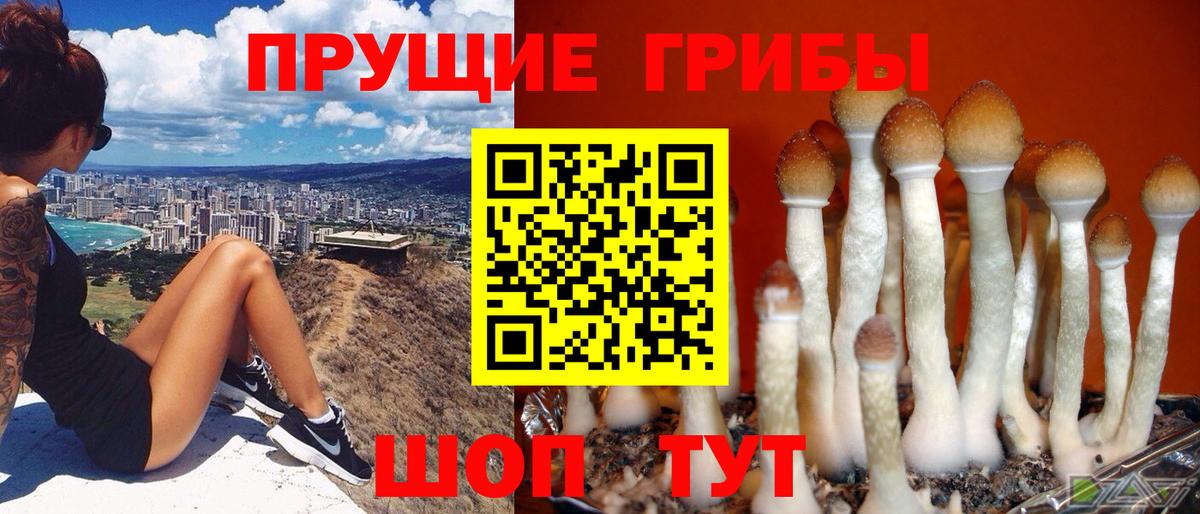 Галлюциногенные грибы мухоморы Нижний Тагил