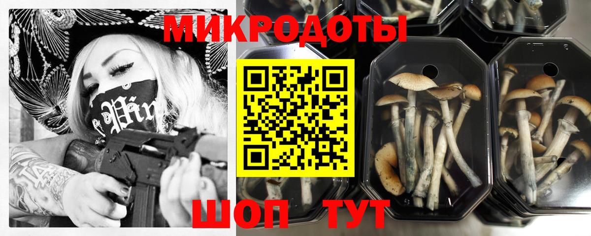 Псилоцибиновые грибы Psilocybine cubensis  Вход с VPN  Нижний Тагил  Псилоцибиновые грибы прущие грибы 
